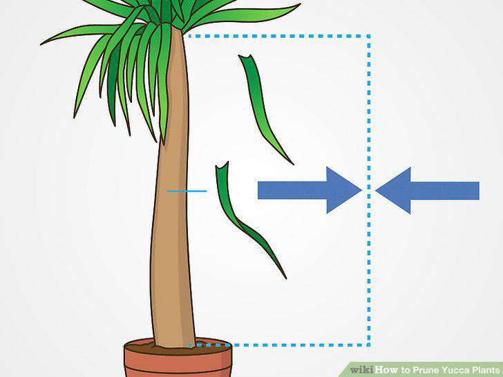 Step 8