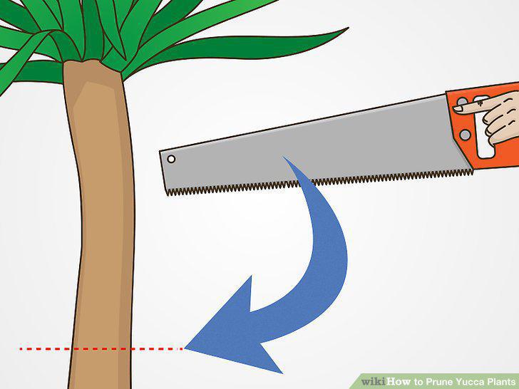 Step 9