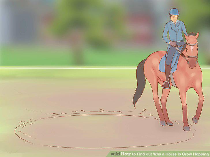 Step 11