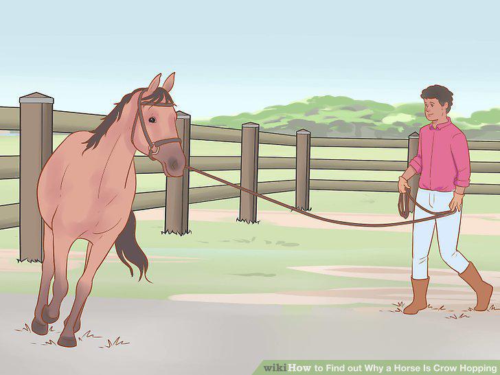 Step 12