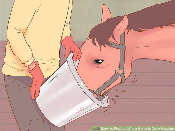 Step 4