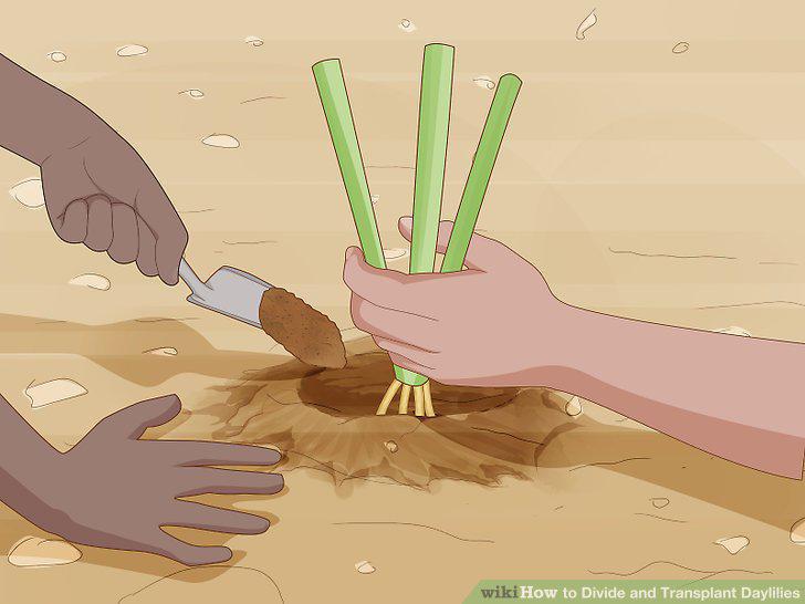 Step 11