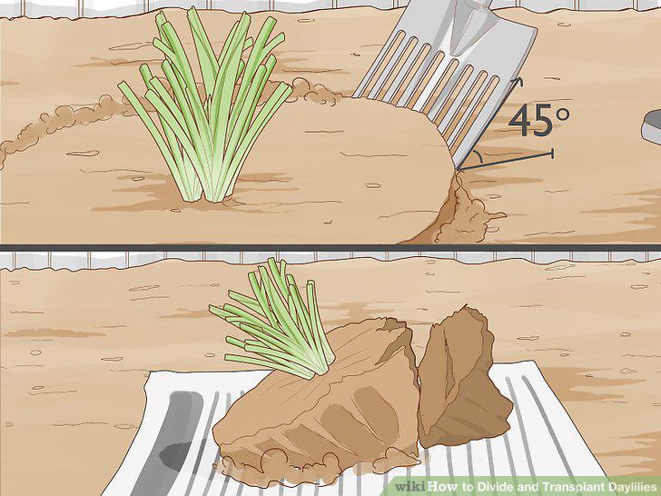 Step 4