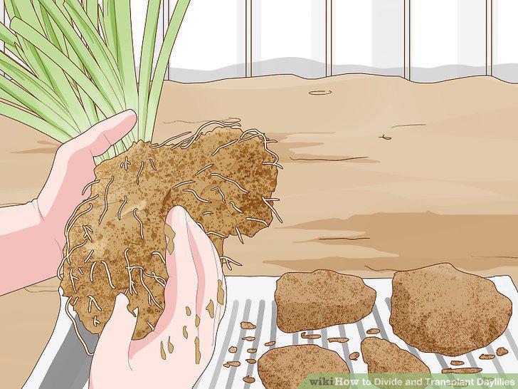 Step 5