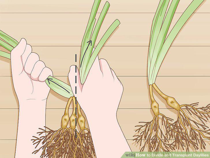 Step 8