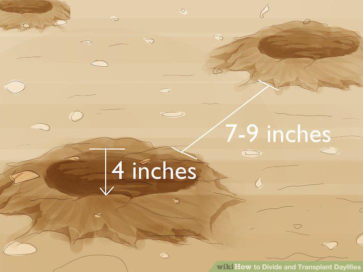 Step 10