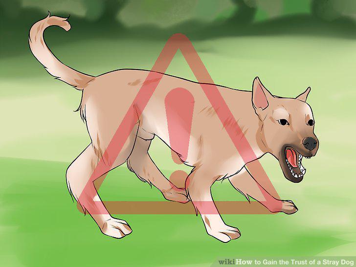 Step 11