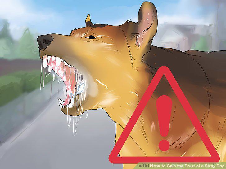 Step 12