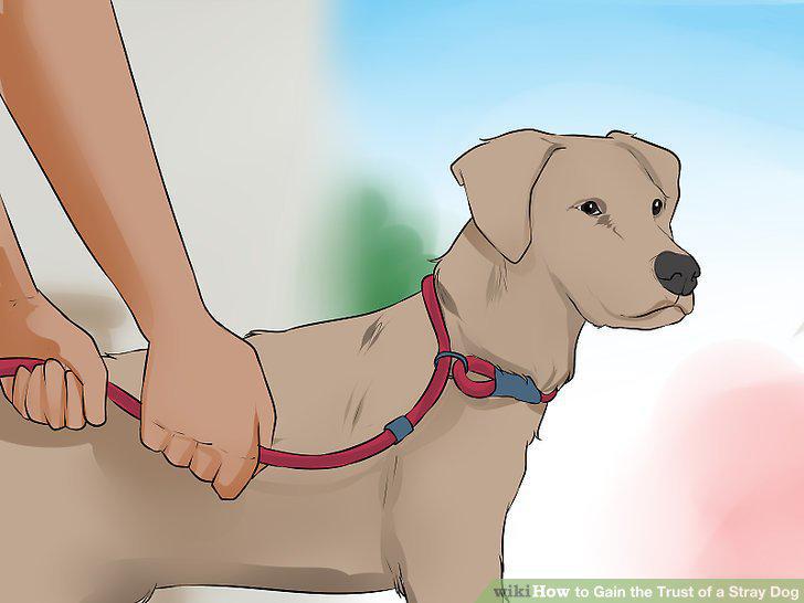 Step 14