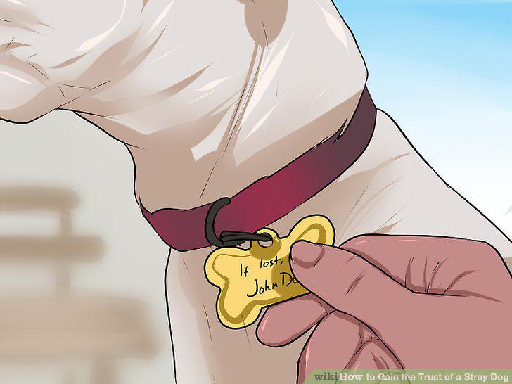 Step 15