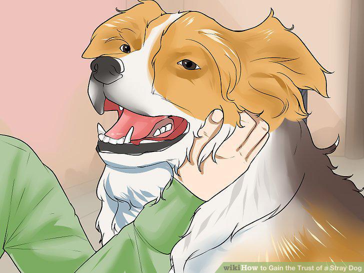 Step 9