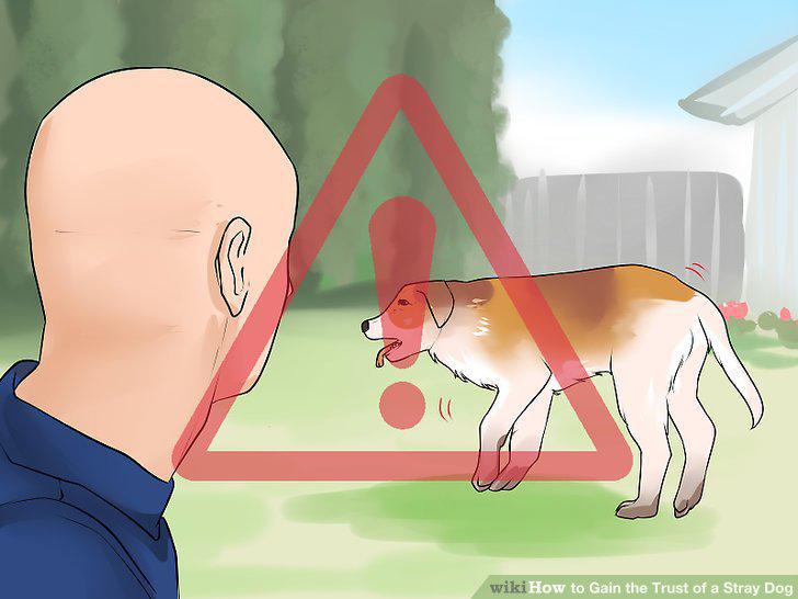 Step 10