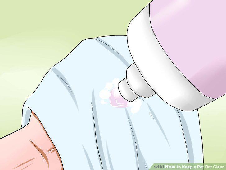 Step 11