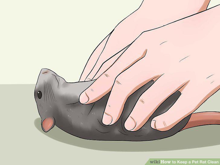 Step 12
