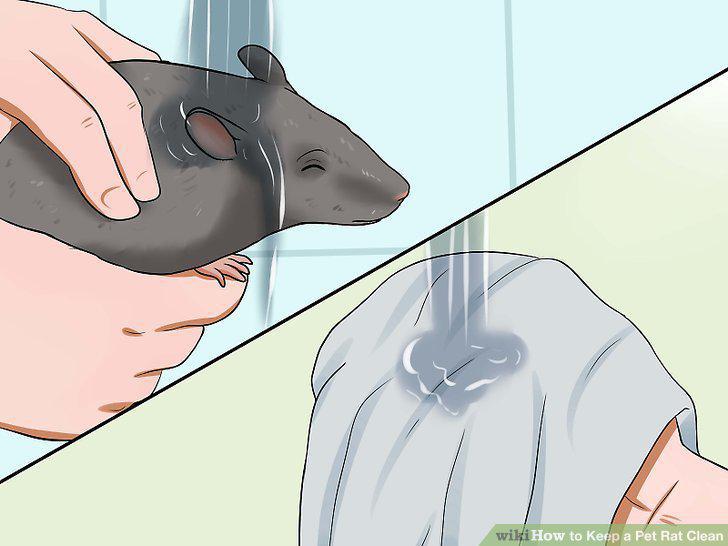 Step 13