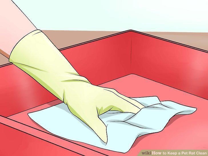 Step 14