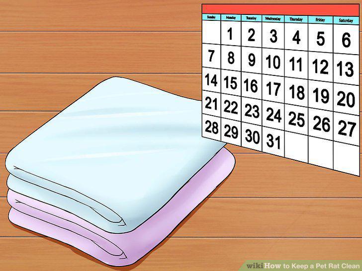Step 15