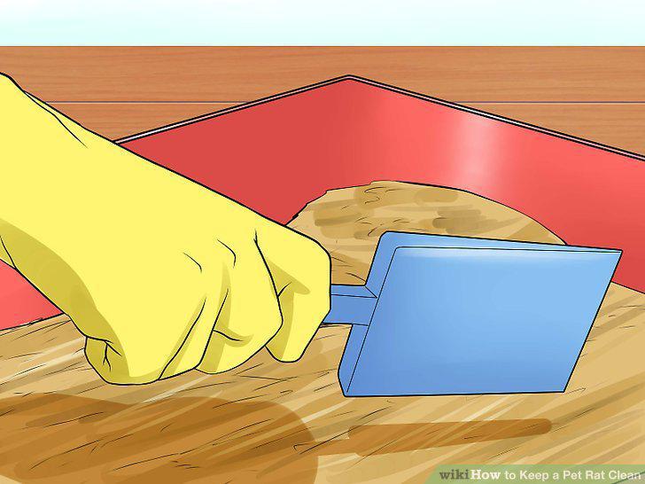 Step 16