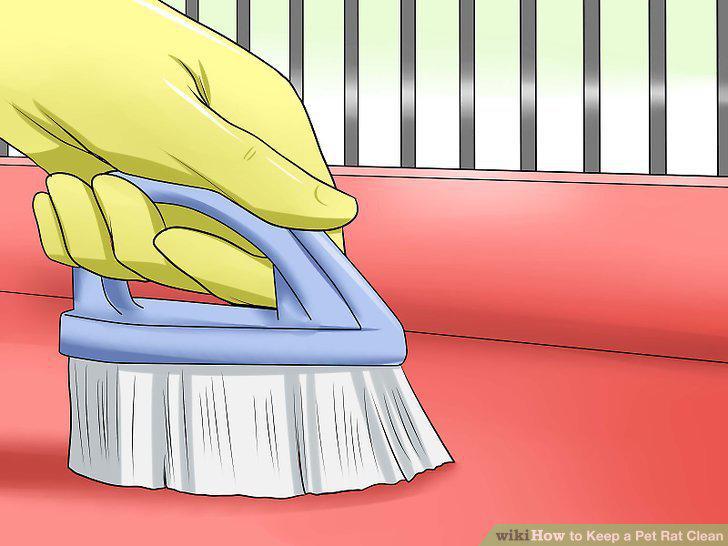 Step 17