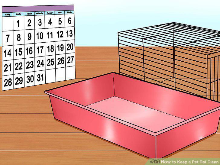 Step 18