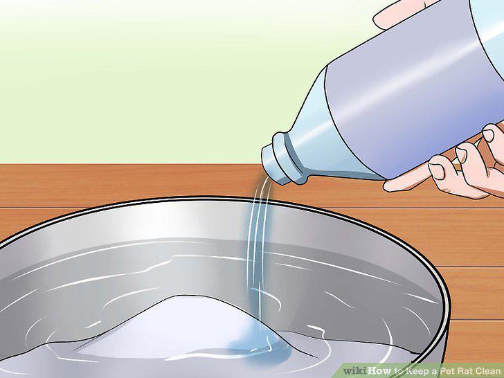 Step 19