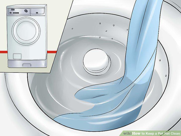 Step 20