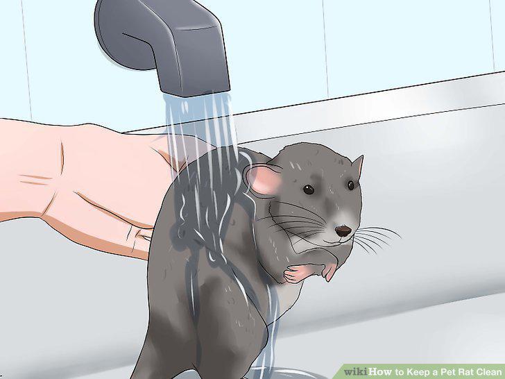 Step 8