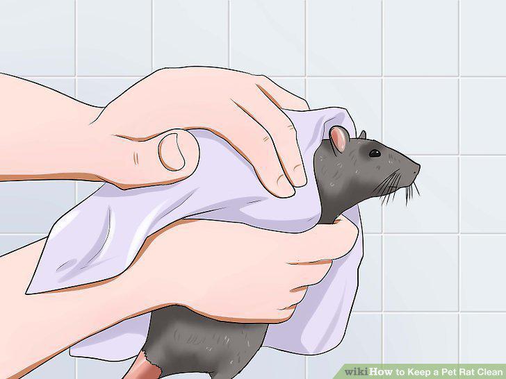 Step 9