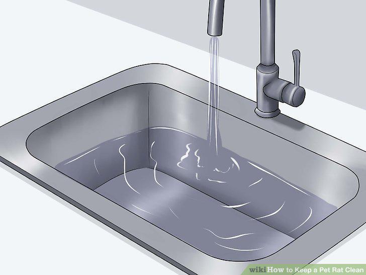 Step 10