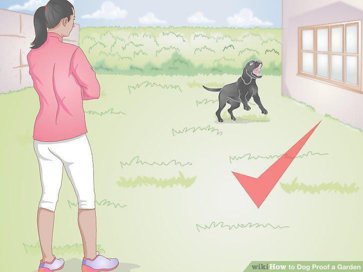 Step 11