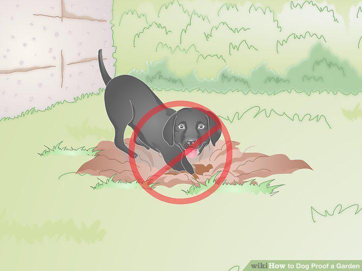 Step 12