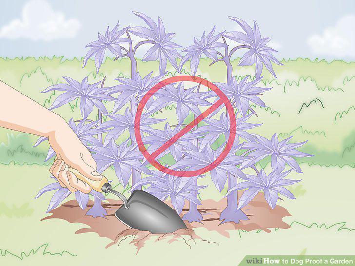 Step 5