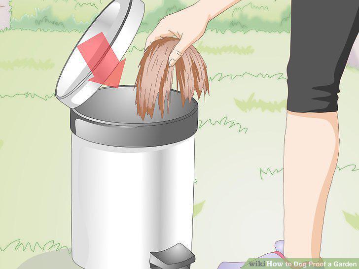 Step 10