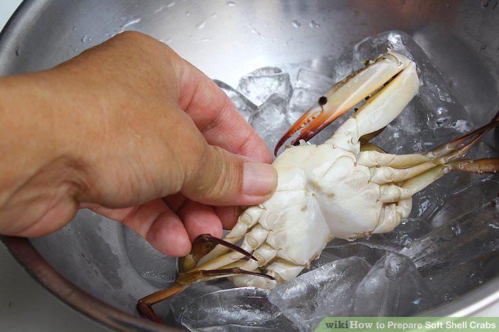 Step 5