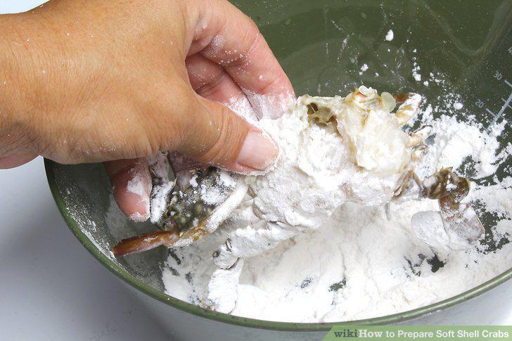 Step 8