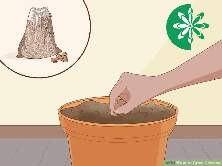 Step 11