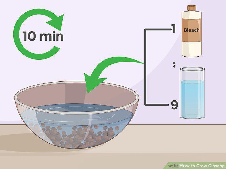 Step 13