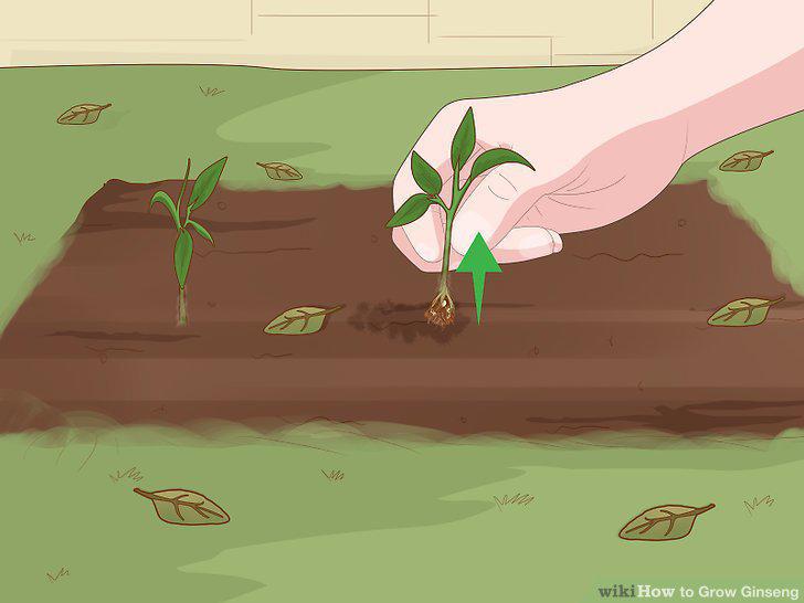 Step 14