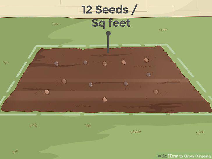 Step 15