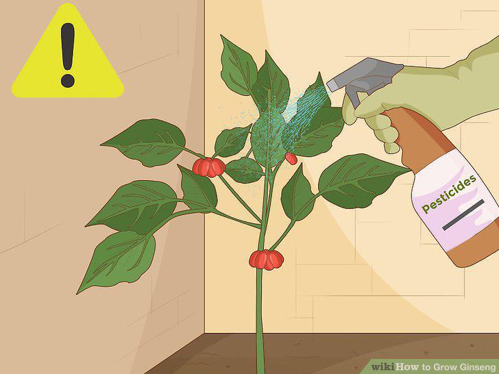 Step 21