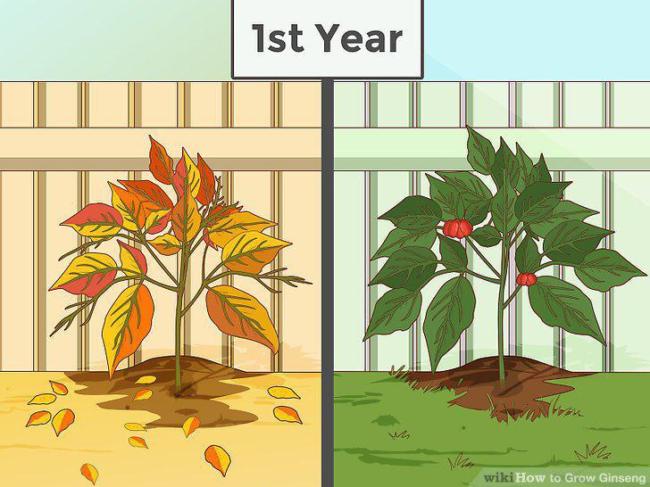 Step 23