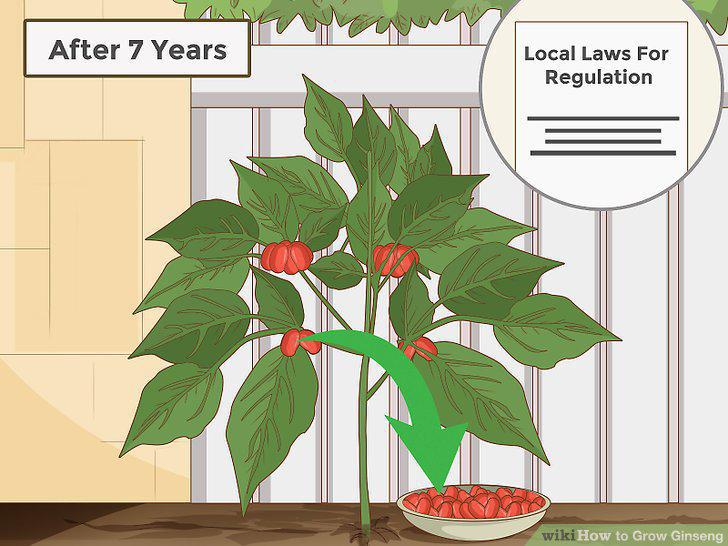 Step 25