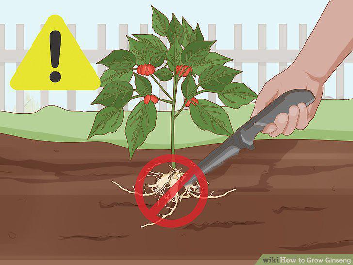 Step 26