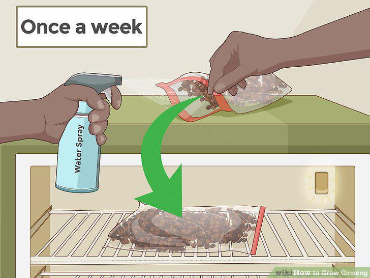 Step 9