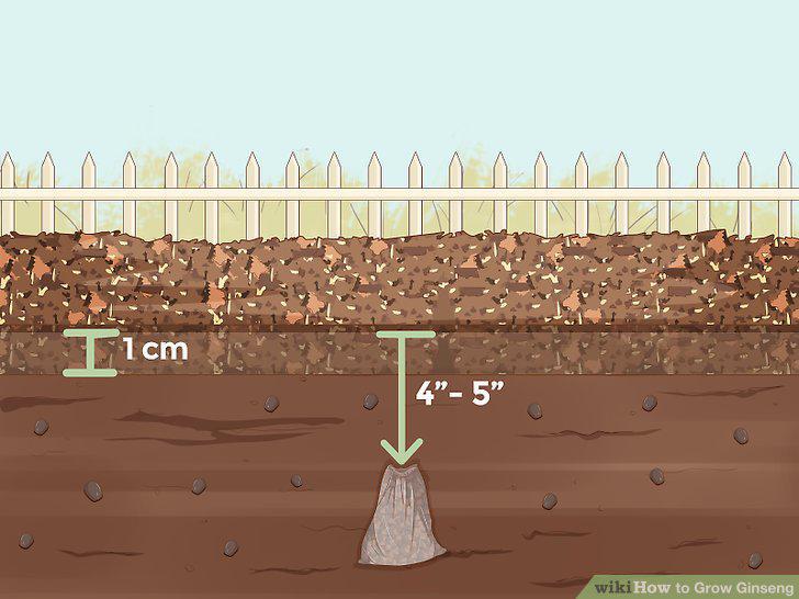 Step 10
