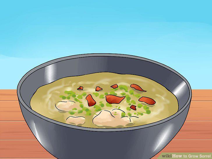 Step 13