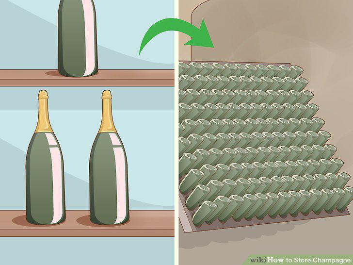 Step 15