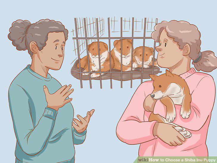 Step 11