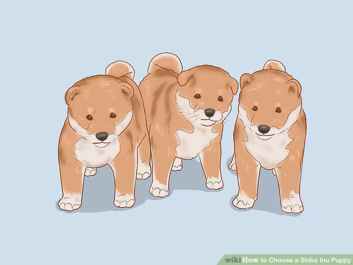 Step 14