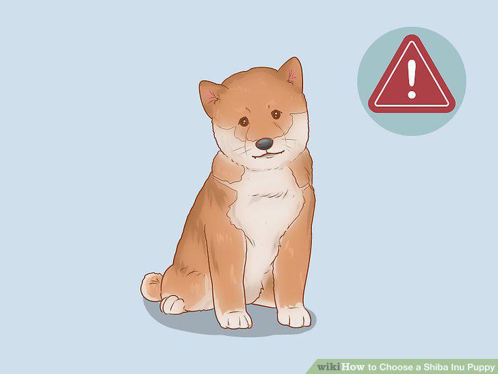 Step 15